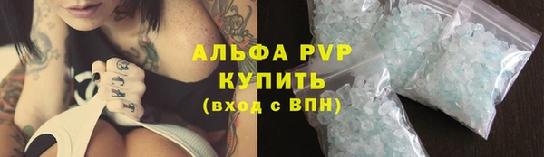 стафф Карпинск