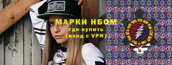 стафф Карпинск
