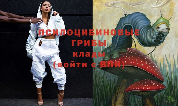стафф Карпинск