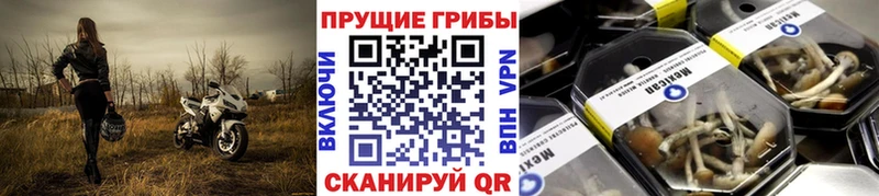 Галлюциногенные грибы мухоморы  Купить  Донецк 
